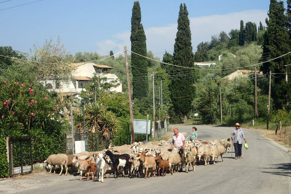  Albania - Korfu