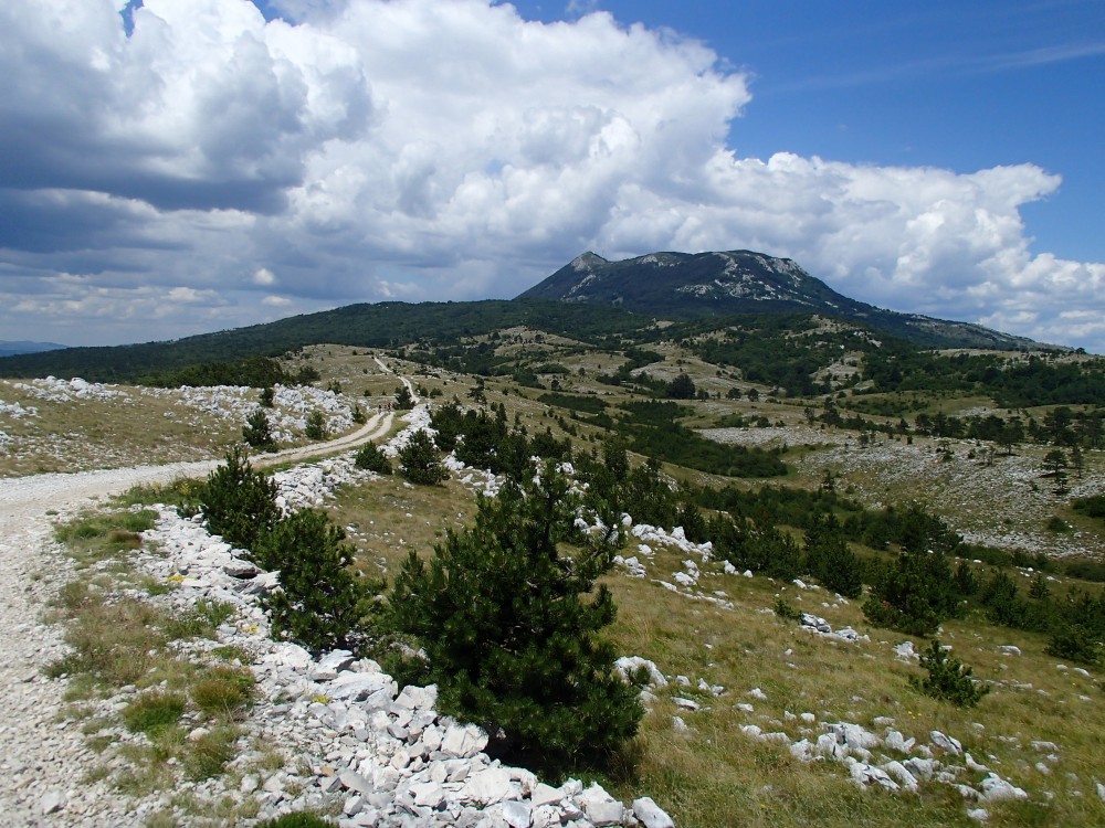 Chorwackie Wyspy MTB